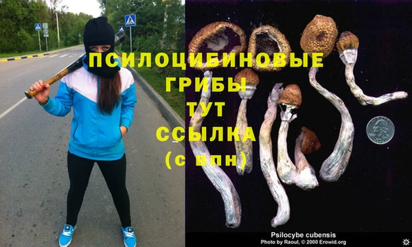 мет Алексин